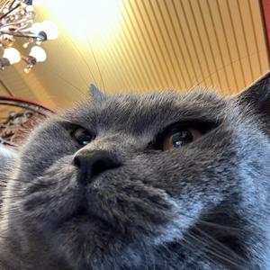 羊村你喜哥·凉初💫头像