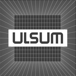 ULSUM头像
