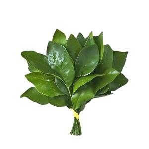 半糖主义🍬头像