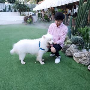 皮卡丘⚡️头像