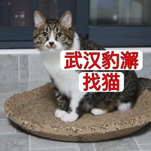 被窝梦想家头像