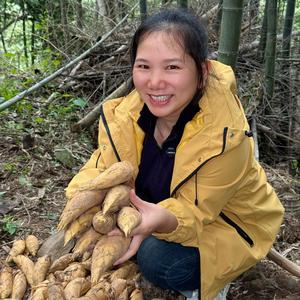 国汇食材配送邹姐头像