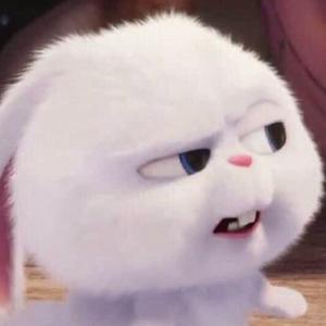 不爱睡觉不爱起床的白洋葱头像