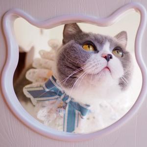 嘟嘟卡哇伊头像