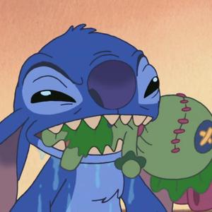 Ccsuniy16 -🦋-头像