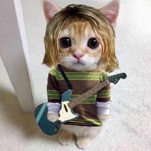 美羊羊Guitar🎸头像