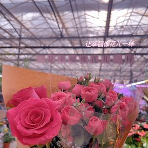 ❤️❤️❤️❤️头像