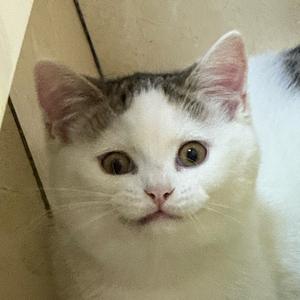 cccccccccccccc头像