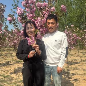 老表的日常生活头像