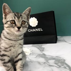 合肥市蜀山区柒号奢护馆头像