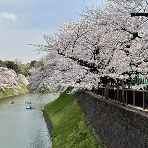 AARON In Tokyo头像