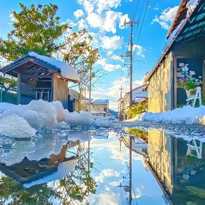 达芬骑骆驼🐫头像