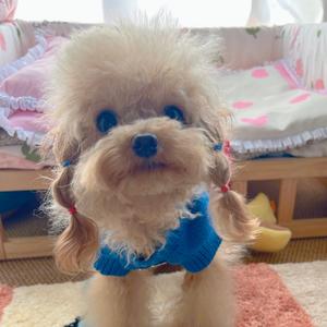 搞包辣条77叭头像