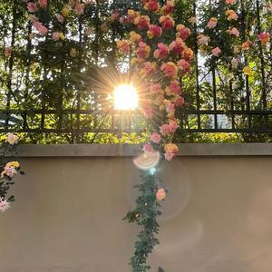 甜甜圈🍩装修日记头像