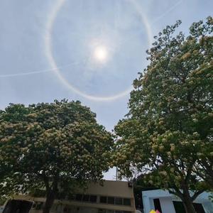 我是個快樂的人头像