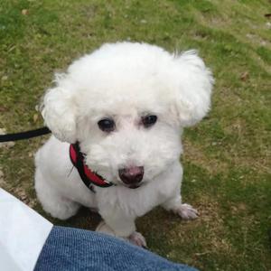 🐶Uncle*Ki💽头像