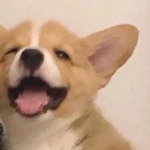 今天吃了几碗饭头像