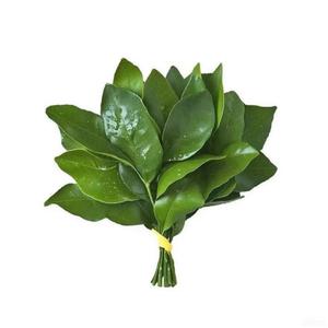 悲伤的烤地瓜头像