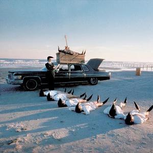 寻找上帝的手头像