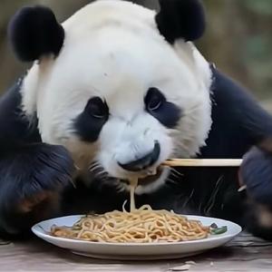 左手拿筷子头像