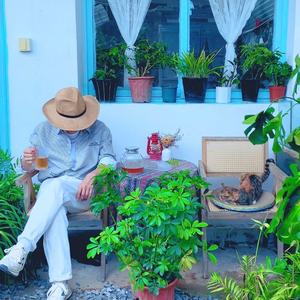 喵叔的猫孩子（日常号）头像