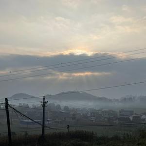 我看你像个人头像