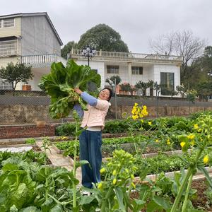 妈妈菜园孙国化头像