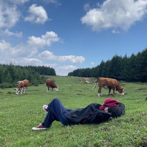 那年夏天。头像