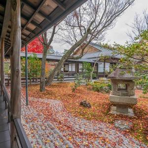 夏日菊次郎头像