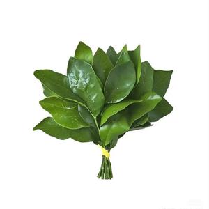 年年有瑜（小号版）头像