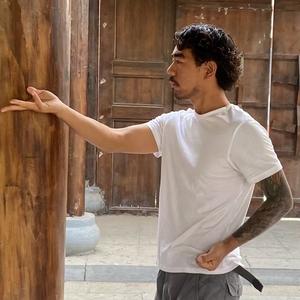 会飞的小鸡头像