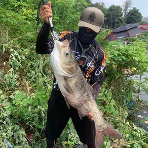 小郎君钓鱼头像