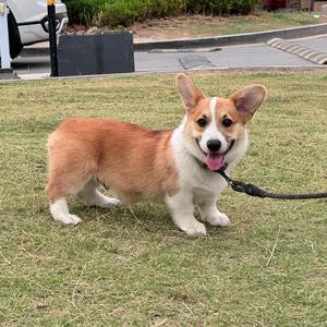 去火星养土豆🥔头像