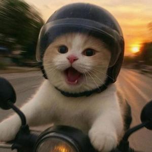 爱看漫画的三三头像