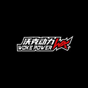 「沃克动力锂电」 - MZ薄仓锂电首创头像