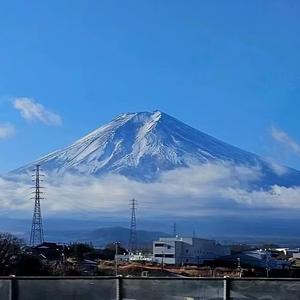 实习包租婆头像