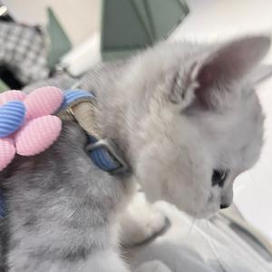 小方❤️_flash头像