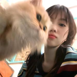 钞票好多张女士-(三次 登船版)头像