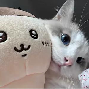 半夜别发伤感文案头像