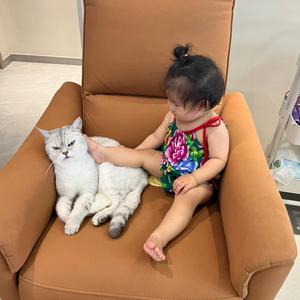 胡糊不是一只猫头像