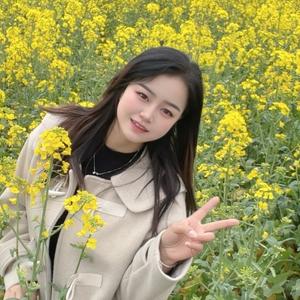 如院山庄（小万）头像