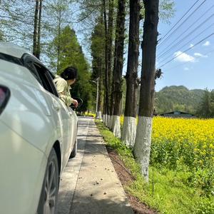 肖想自由的鱼头像