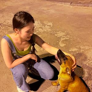 养马犬的小小杨头像