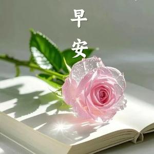 云格格头像