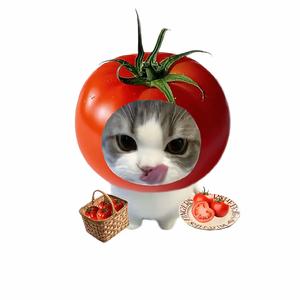 伯牙绝贤💕头像