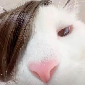 活着为了犯贱头像