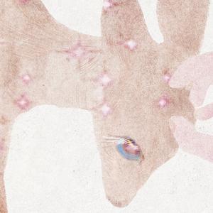 七分栗子猫头像