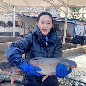 孙庆伟鲜鱼批发头像