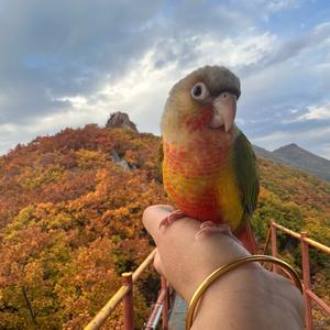 家有小鸡🐤叫漂亮头像