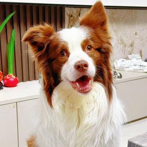 🫶小胖姨🫶头像